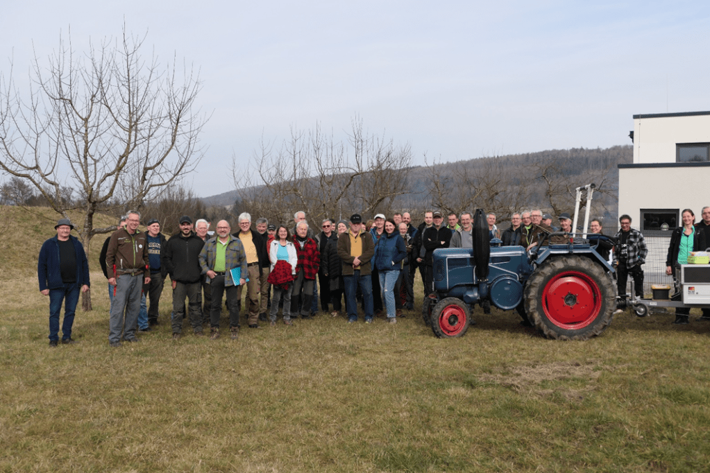 Winterschnitt von Obstbäumen