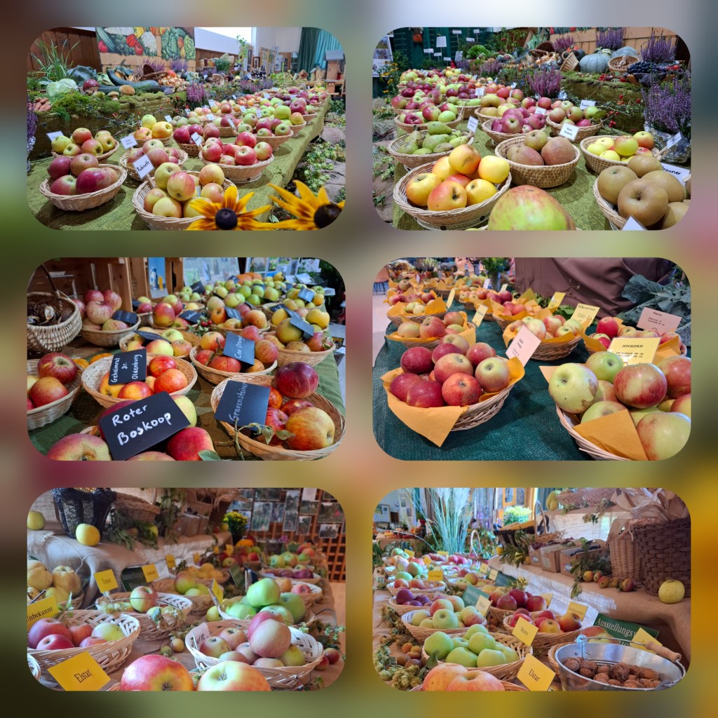 Obst- und Gartenausstellung 2025 Kreisverband Gelnhausen