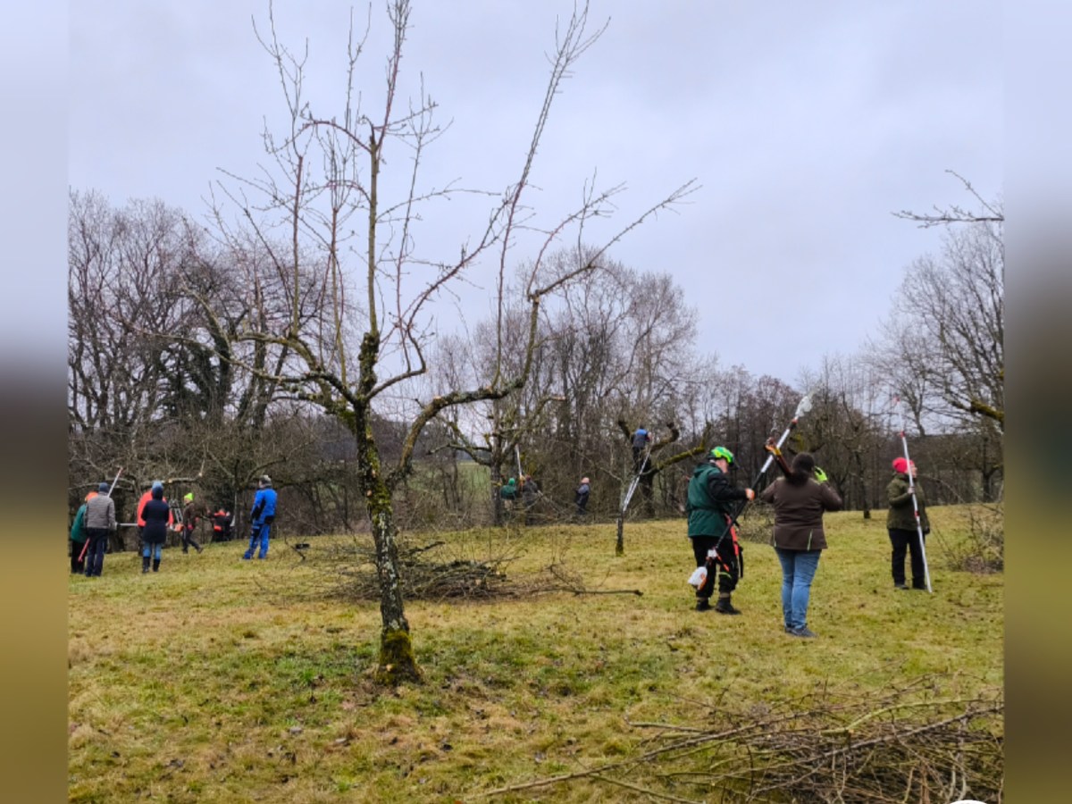 Fortbildung Fachwart/-in Obst und&nbsp;Garten