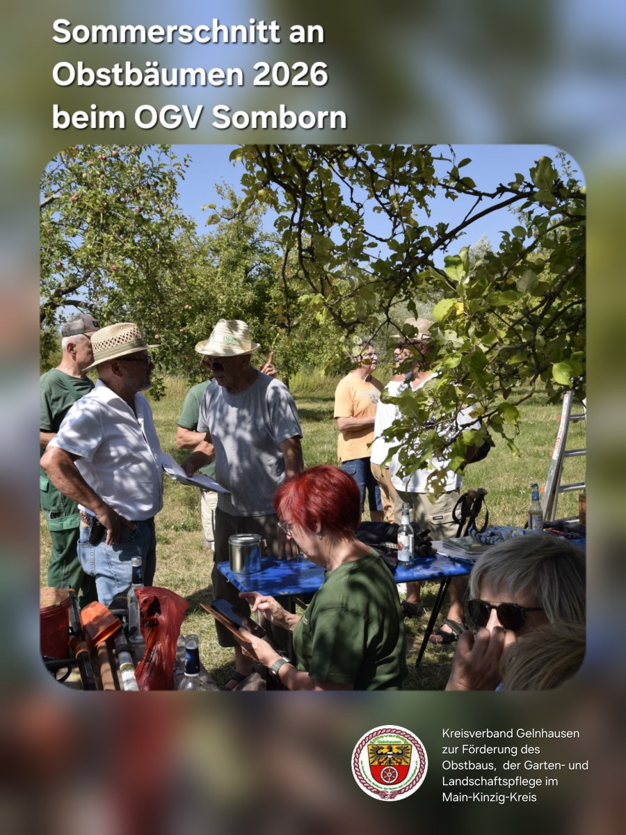 Sommerschnittkurs 2026 beim Obst- und Gartenbauverein&nbsp;Somborn