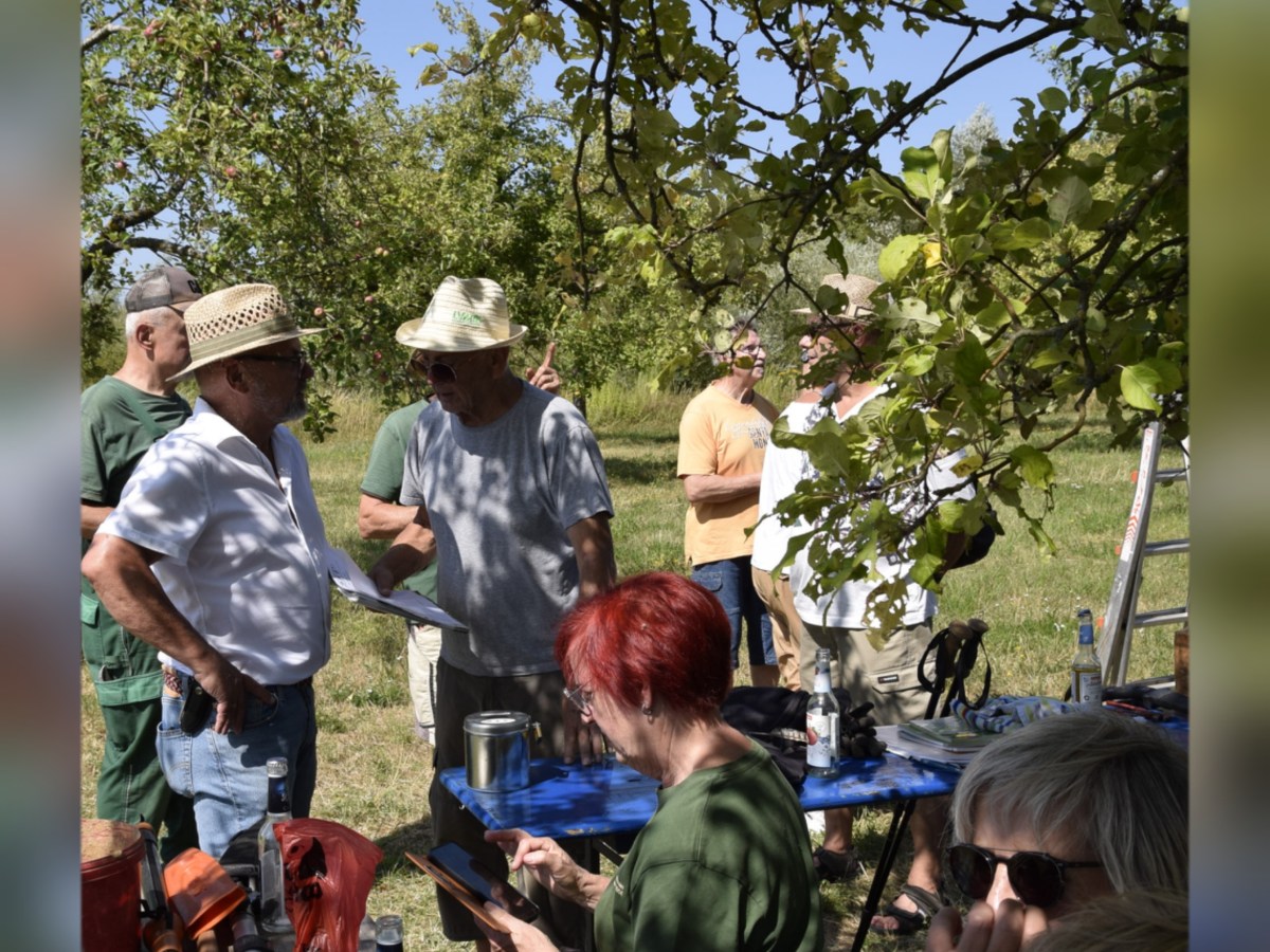 Sommerschnittkurs 2026 beim Obst- und Gartenbauverein&nbsp;Somborn